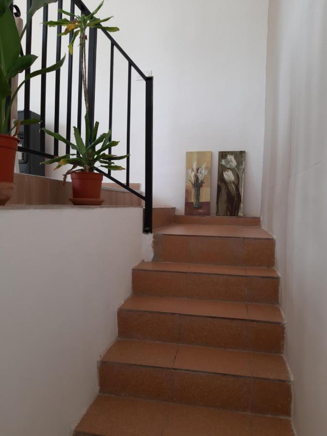 Casa Vitalis Vilamarxant エクステリア 写真